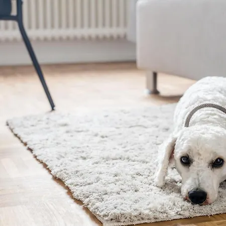 Janu-homes - 3 - 7 Betten, Lahnblick Vom Rheinberg شقة *