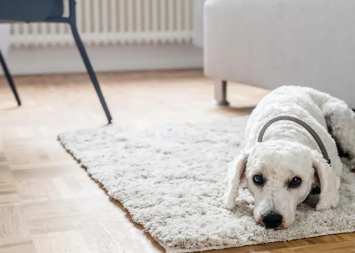 Janu-homes - 3 - 7 Betten, Lahnblick Vom Rheinberg Apartamento *